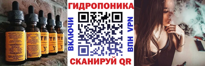 Купить закладки  Махачкала  Canna-Cookies конопля 