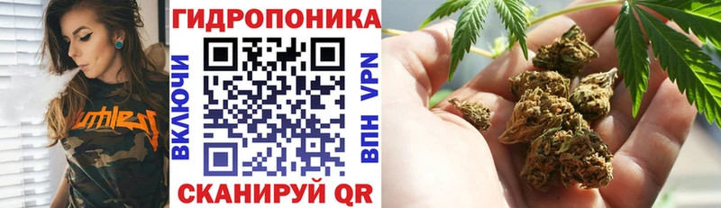 Купить закладки  Махачкала  Каннабис SATIVA & INDICA 